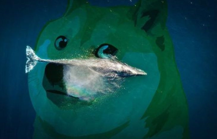 Dogecoin Balinası 6,3 Milyon DOGE Satın Aldı 1