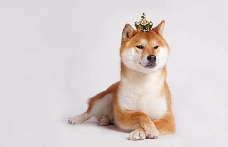 Ethereum Balinası 28 Milyar Shiba Inu (SHIB) Daha Satın Aldı 1