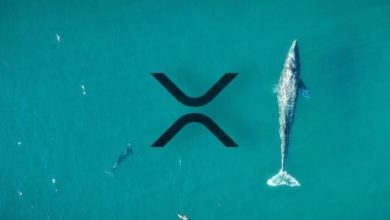 Ripple Balinaları Bir Saat İçinde 80 Milyon XRP Transfer Etti 10