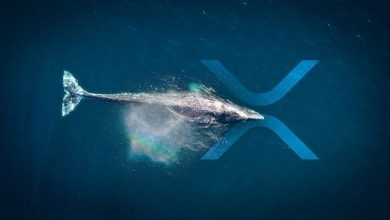 Ripple Balinaları XRP'lerini Borsalardan Uzaklaştırıyor 4