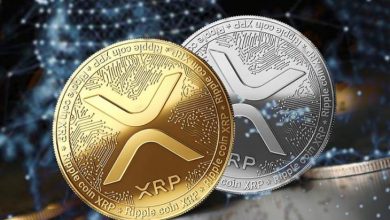 Ripple ve Önde Gelen Borsalar Yüklü Miktarda XRP Taşıdı 1