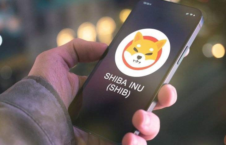 Shiba Inu (SHIB) Balinaları Birikime Devam Ediyor 1