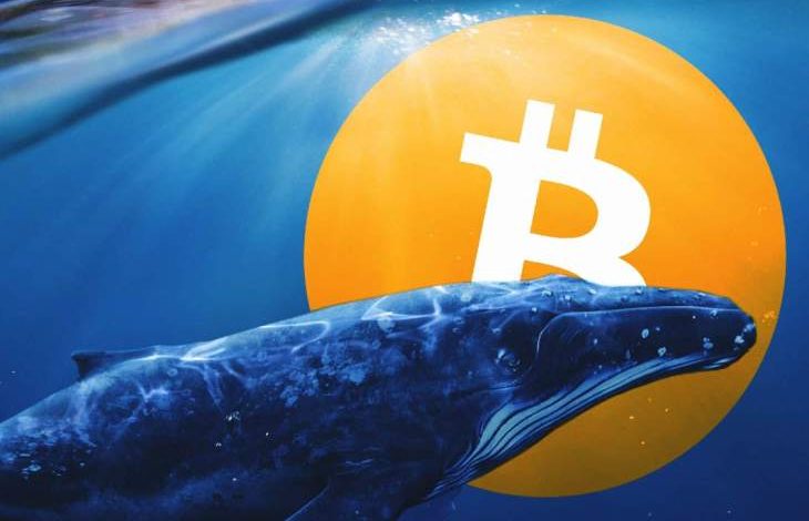 Bitcoin Balina İşlemleri Azalıyor, Bu Bir Yükseliş İşareti mi? 1