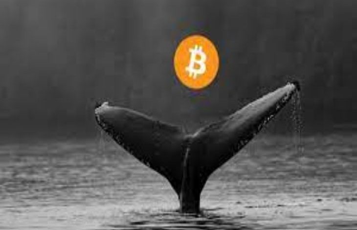 Bitcoin Balinaları Satışa Başladı! 1