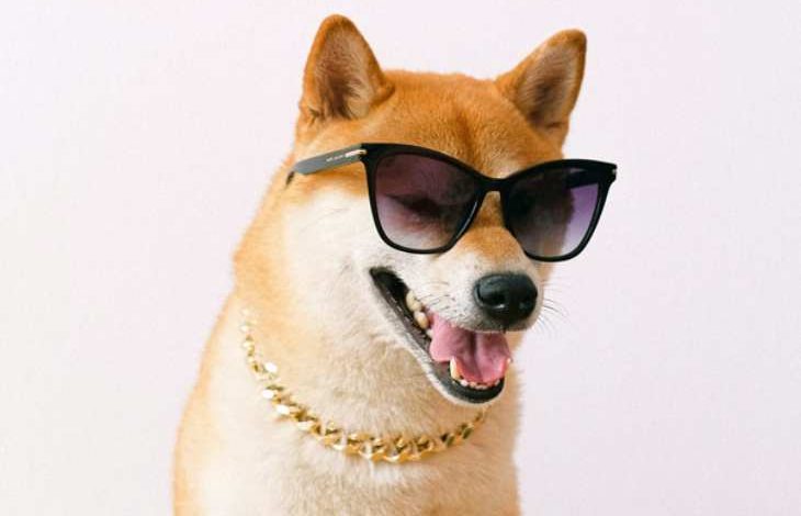 Dogecoin Rakibi Shiba Inu Meme Coin Olmaktan Çıkıyor 1