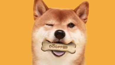 Dogecoin Yatırımcıları Artık Coinleriyle Getiri Elde Edebilecek 9