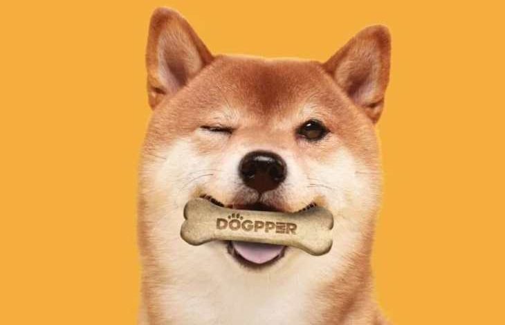 Dogecoin Yatırımcıları Artık Coinleriyle Getiri Elde Edebilecek 1