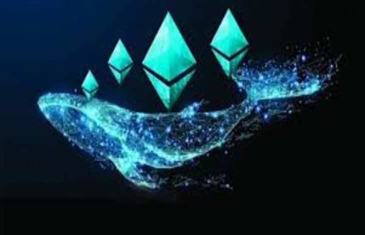 Ethereum Balinaları En Çok Bu Kripto Paraları Biriktiriyor 1