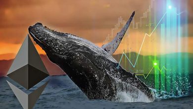 Ethereum Balinaları Satın Alımı Arttırdıkça ETH Fiyatı Yükseliyor 6