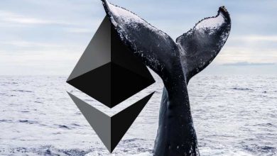 Ethereum Fiyatı Düşerken Balinalar Birikimini Arttırıyor 7