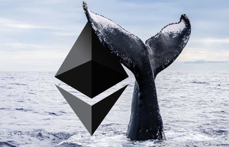 Ethereum Fiyatı Düşerken Balinalar Birikimini Arttırıyor 1