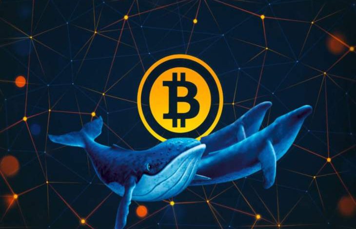 İki Dakikada Binlerce Bitcoin (BTC) Taşındı 1