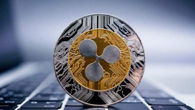 Milyonlarca XRP Taşıyan Ripple Halka Açılacak 2