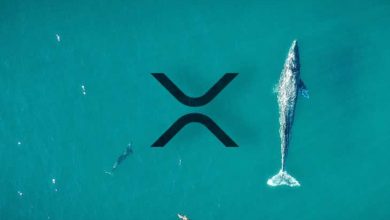 Ripple Balinası Lider Borsadan Milyonlarca XRP Çekti 4