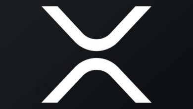Ripple ile Lider Borsa 240 Milyon XRP Taşıdı 7