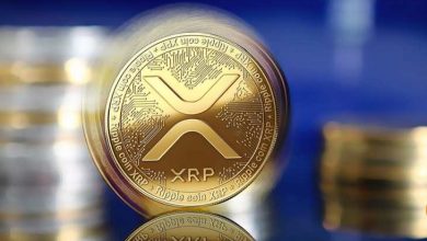 Ripple ve Büyük Borsalar XRP Transferlerine Devam Ediyor 6