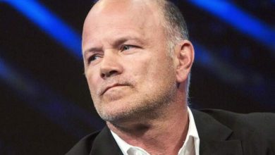 Ünlü Bitcoin Yatırımcısı Novogratz, Bitcoin'in Daha da Düşebileceğini İddia Etti 4