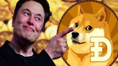 Başka Bir Elon Musk Şirketi Dogecoin'i Kabul Edebilir 8