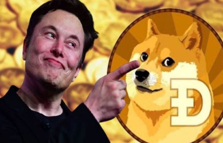 Başka Bir Elon Musk Şirketi Dogecoin'i Kabul Edebilir 1