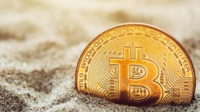 Küçükler Satıyor Büyükler Topluyor: İşte Yeni Bitcoin Raporu 6