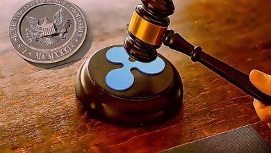 Ripple, 2012 Belgelerinin SEC'e Karşı Davasını Destekleyeceğine İnanıyor 4