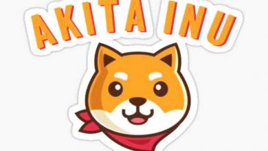 Akita Inu (AKITA) Nedir? Akita Inu Coin Geleceği ve Yorum 2022 8