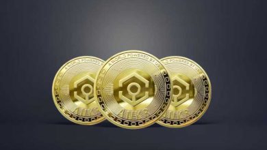 Ankr (ANKR) Nedir? Ankr (ANKR) Coin Geleceği ve Yorum 2022 9