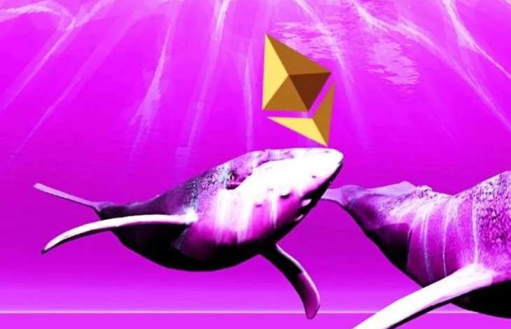 Balinalar Cüzdanlar Arasında 20.000 Ethereum (ETH) Taşıdı 1