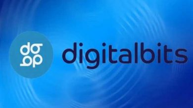 DigitalBits (XDB) Nedir? DigitalBits (XDB) Coin Geleceği ve Yorum 2022 1