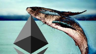 Fiyat Performansına Rağmen Balinalar Hala Ethereum (ETH) Satın Alıyor 9