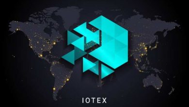 IoTeX (IOTX) Nedir? IOTX Coin Geleceği ve Yorum 2022 2