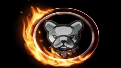 Pitbull (PIT) Nedir? Pitbull (PIT) Coin Geleceği ve Yorum 2022 1