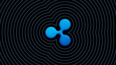 Ripple Balinası Borsadan Anonim Adrese 12 Milyon XRP Taşıdı 2