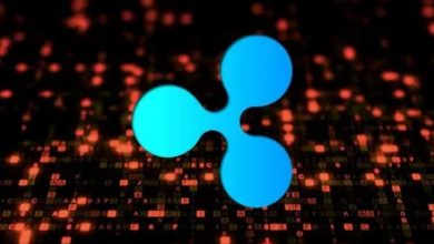 Ripple Teknolojisi Ülkemizde Kullanılacak 4