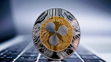 Ripple (XRP) Yükselirken En Büyük Borsalar 106 Milyon XRP Taşıdı 8