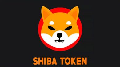 Shiba Inu (SHIB) Nedir? Shiba Inu Hakkında Bilmeniz Gerekenler 9