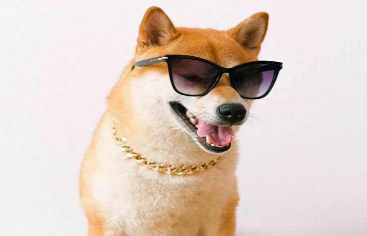 Shiba Inu Ünlü Moda Evi ile Ortaklığını Duyurdu 1 Shiba Inu Ünlü Moda Evi ile Ortaklığını Duyurdu 1