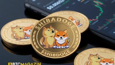 ShibaDoge Nedir? SHIBDOGE Hakkında Bilmeniz Gerekenler