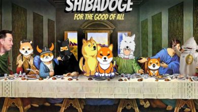 ShibaDoge Nedir? ShibaDoge Hakkında Bilmeniz Gerekenler 5