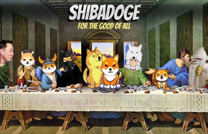ShibaDoge Nedir? ShibaDoge Hakkında Bilmeniz Gerekenler 1