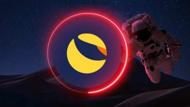 Terra (LUNA) En Çok Yükselen Altcoin Olarak Solana ve Cardano'yu Geride Bıraktı 6