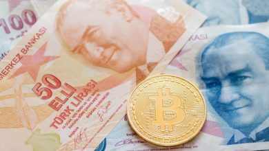 Türk Lirası Bitcoin Karşısında Değer Kaybederken Halk Kripto Paralara Yöneliyor 6