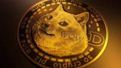 Ukrayna, Dogecoin (DOGE) ile Bağış Kabul Edecek 3