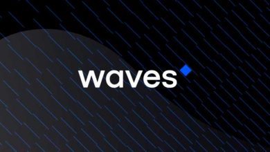 Waves (WAVES) Nedir? Waves (WAVES) Coin Geleceği ve Yorum 2022 3