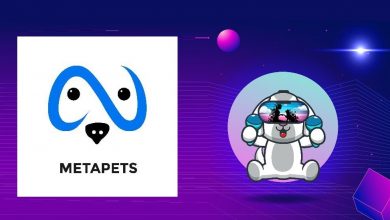 Metapets Coin Nedir