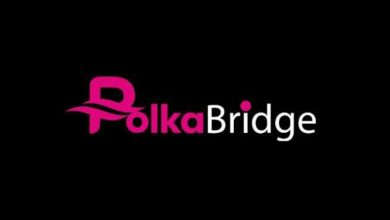 PolkaBridge (PBR) Nedir? PolkaBridge (PBR) Coin Geleceği 2022 5