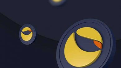 Altcoin Terra (LUNA) Yeni ATH'ye Ulaştı, Kurucu Do Kwon Gelecek Planlarını Paylaştı 9
