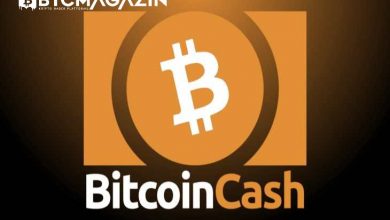 Bitcoin Cash (BCH) Nedir? Bitcoin Cash (BCH) Geleceği ve Yorum 2022 4