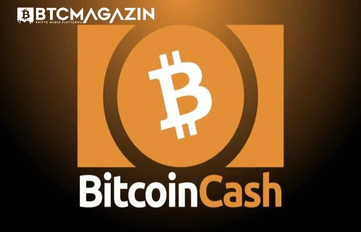 Bitcoin Cash (BCH) Nedir? Bitcoin Cash (BCH) Geleceği ve Yorum 2022 1