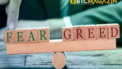 Bitcoin Düşüşü Piyasayı Aşırı Korkuya Soktu 7